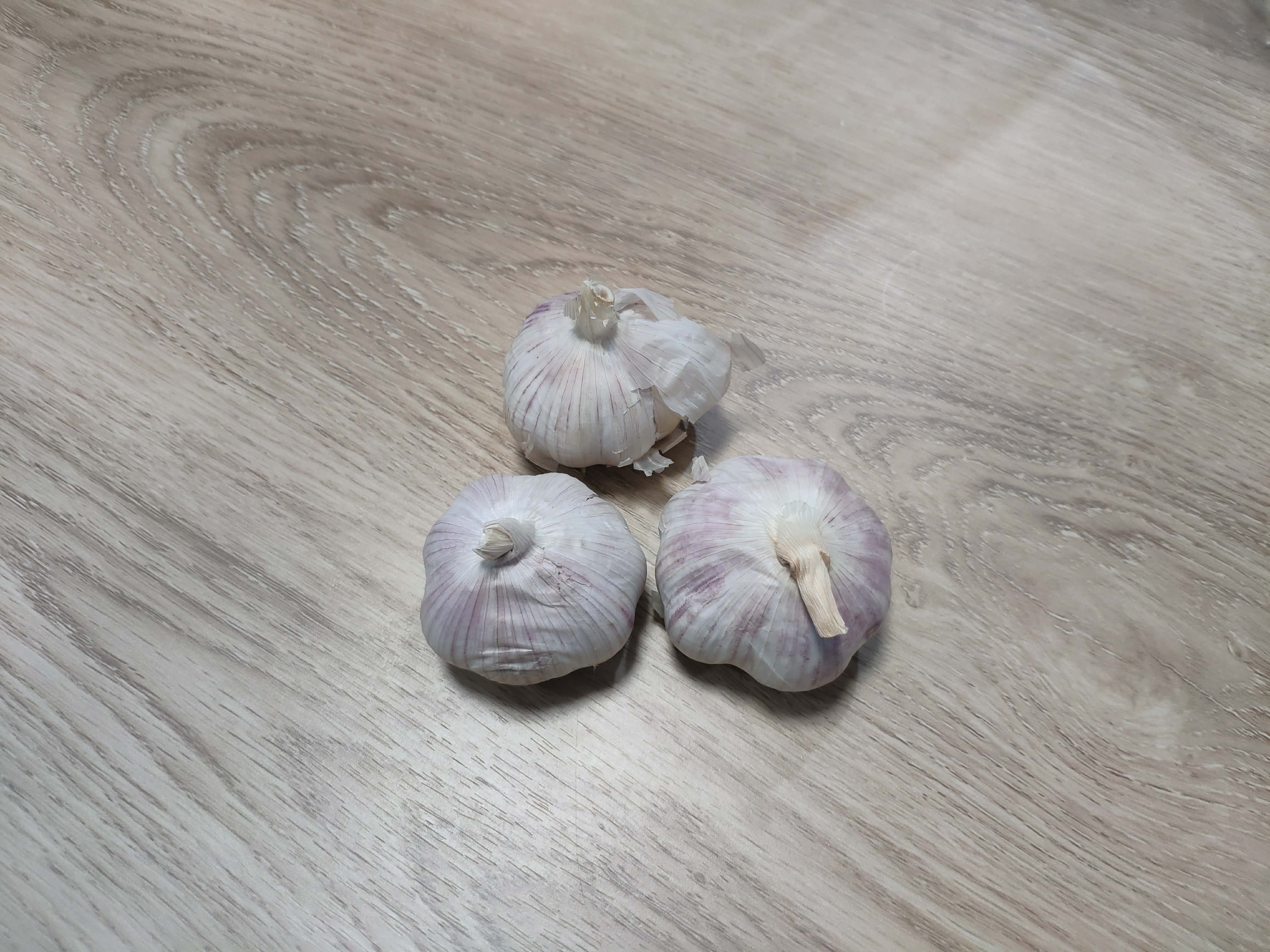 garlic